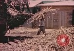 Standbild Rinder ziehen einen Pflug Puerto Rico, 1941, aus Sekunde 19 historischem Filmmaterial Videoclip 65675058641