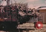 Standbild Rinder ziehen einen Pflug Puerto Rico, 1941, aus Sekunde 21 historischem Filmmaterial Videoclip 65675058641