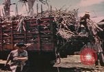Standbild Rinder ziehen einen Pflug Puerto Rico, 1941, aus Sekunde 22 historischem Filmmaterial Videoclip 65675058641