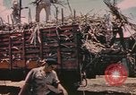 Standbild Rinder ziehen einen Pflug Puerto Rico, 1941, aus Sekunde 23 historischem Filmmaterial Videoclip 65675058641