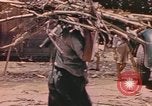 Standbild Rinder ziehen einen Pflug Puerto Rico, 1941, aus Sekunde 25 historischem Filmmaterial Videoclip 65675058641