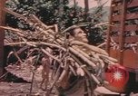 Standbild Rinder ziehen einen Pflug Puerto Rico, 1941, aus Sekunde 26 historischem Filmmaterial Videoclip 65675058641