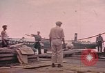 Standbild Rinder ziehen einen Pflug Puerto Rico, 1941, aus Sekunde 41 historischem Filmmaterial Videoclip 65675058641