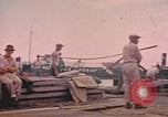 Standbild Rinder ziehen einen Pflug Puerto Rico, 1941, aus Sekunde 43 historischem Filmmaterial Videoclip 65675058641