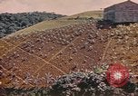Standbild Rinder ziehen einen Pflug Puerto Rico, 1941, aus Sekunde 51 historischem Filmmaterial Videoclip 65675058641