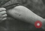 Image of Rudolf Hoess Commandant of Auschwitz Nuremberg Germany, 1945, second 31 stock footage video 65675058668