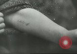 Image of Rudolf Hoess Commandant of Auschwitz Nuremberg Germany, 1945, second 32 stock footage video 65675058668