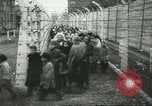 Image of Rudolf Hoess Commandant of Auschwitz Nuremberg Germany, 1945, second 36 stock footage video 65675058668