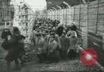 Image of Rudolf Hoess Commandant of Auschwitz Nuremberg Germany, 1945, second 39 stock footage video 65675058668