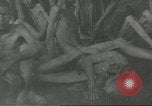 Image of Rudolf Hoess Commandant of Auschwitz Nuremberg Germany, 1945, second 58 stock footage video 65675058668