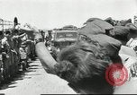Image of Winston Churchill North Africa, 1943, second 5 stock footage video 65675058674