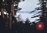 Image of forest fire United States USA, 1984, second 3 stock footage video 65675058683