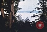 Image of forest fire United States USA, 1984, second 4 stock footage video 65675058683