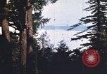 Image of forest fire United States USA, 1984, second 5 stock footage video 65675058683