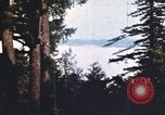 Image of forest fire United States USA, 1984, second 6 stock footage video 65675058683
