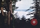 Image of forest fire United States USA, 1984, second 10 stock footage video 65675058683