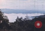 Image of forest fire United States USA, 1984, second 16 stock footage video 65675058683