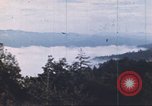 Image of forest fire United States USA, 1984, second 17 stock footage video 65675058683