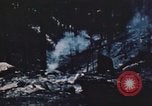 Image of forest fire United States USA, 1984, second 35 stock footage video 65675058683