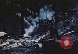 Image of forest fire United States USA, 1984, second 36 stock footage video 65675058683