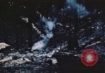 Image of forest fire United States USA, 1984, second 37 stock footage video 65675058683
