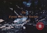 Image of forest fire United States USA, 1984, second 38 stock footage video 65675058683