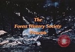 Image of forest fire United States USA, 1984, second 39 stock footage video 65675058683