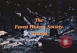 Image of forest fire United States USA, 1984, second 40 stock footage video 65675058683