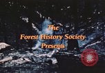 Image of forest fire United States USA, 1984, second 41 stock footage video 65675058683