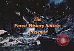 Image of forest fire United States USA, 1984, second 42 stock footage video 65675058683