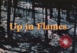 Image of forest fire United States USA, 1984, second 45 stock footage video 65675058683
