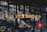 Image of forest fire United States USA, 1984, second 46 stock footage video 65675058683