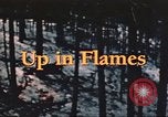 Image of forest fire United States USA, 1984, second 47 stock footage video 65675058683
