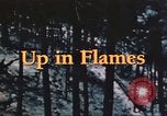 Image of forest fire United States USA, 1984, second 48 stock footage video 65675058683