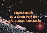 Image of forest fire United States USA, 1984, second 57 stock footage video 65675058683