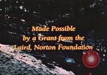 Image of forest fire United States USA, 1984, second 58 stock footage video 65675058683