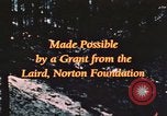 Image of forest fire United States USA, 1984, second 59 stock footage video 65675058683