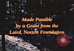 Image of forest fire United States USA, 1984, second 60 stock footage video 65675058683