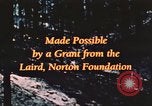 Image of forest fire United States USA, 1984, second 61 stock footage video 65675058683