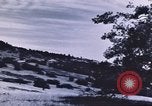 Image of forest fire United States USA, 1910, second 52 stock footage video 65675058684