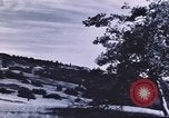 Image of forest fire United States USA, 1910, second 54 stock footage video 65675058684