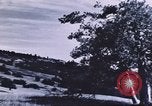 Image of forest fire United States USA, 1910, second 58 stock footage video 65675058684
