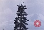 Image of look out station United States USA, 1910, second 4 stock footage video 65675058685