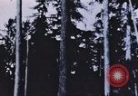 Image of look out station United States USA, 1910, second 14 stock footage video 65675058685