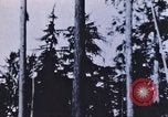 Image of look out station United States USA, 1910, second 15 stock footage video 65675058685