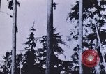 Image of look out station United States USA, 1910, second 16 stock footage video 65675058685