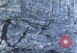 Image of carrier pigeon United States USA, 1920, second 10 stock footage video 65675058686