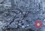Image of carrier pigeon United States USA, 1920, second 11 stock footage video 65675058686