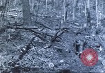 Image of carrier pigeon United States USA, 1920, second 14 stock footage video 65675058686