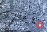 Image of carrier pigeon United States USA, 1920, second 15 stock footage video 65675058686